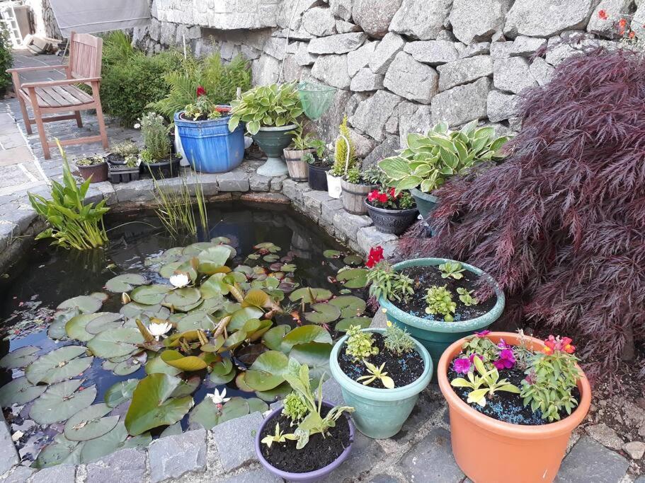 Country Cottage Close To The City. Newry Bagian luar foto