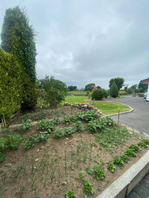 Country Cottage Close To The City. Newry Bagian luar foto